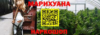 Альфа ПВП Будённовск