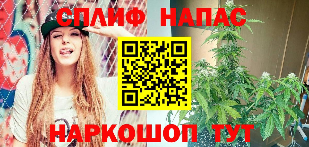 Бошки Шишки ГИДРОПОН Новодвинск